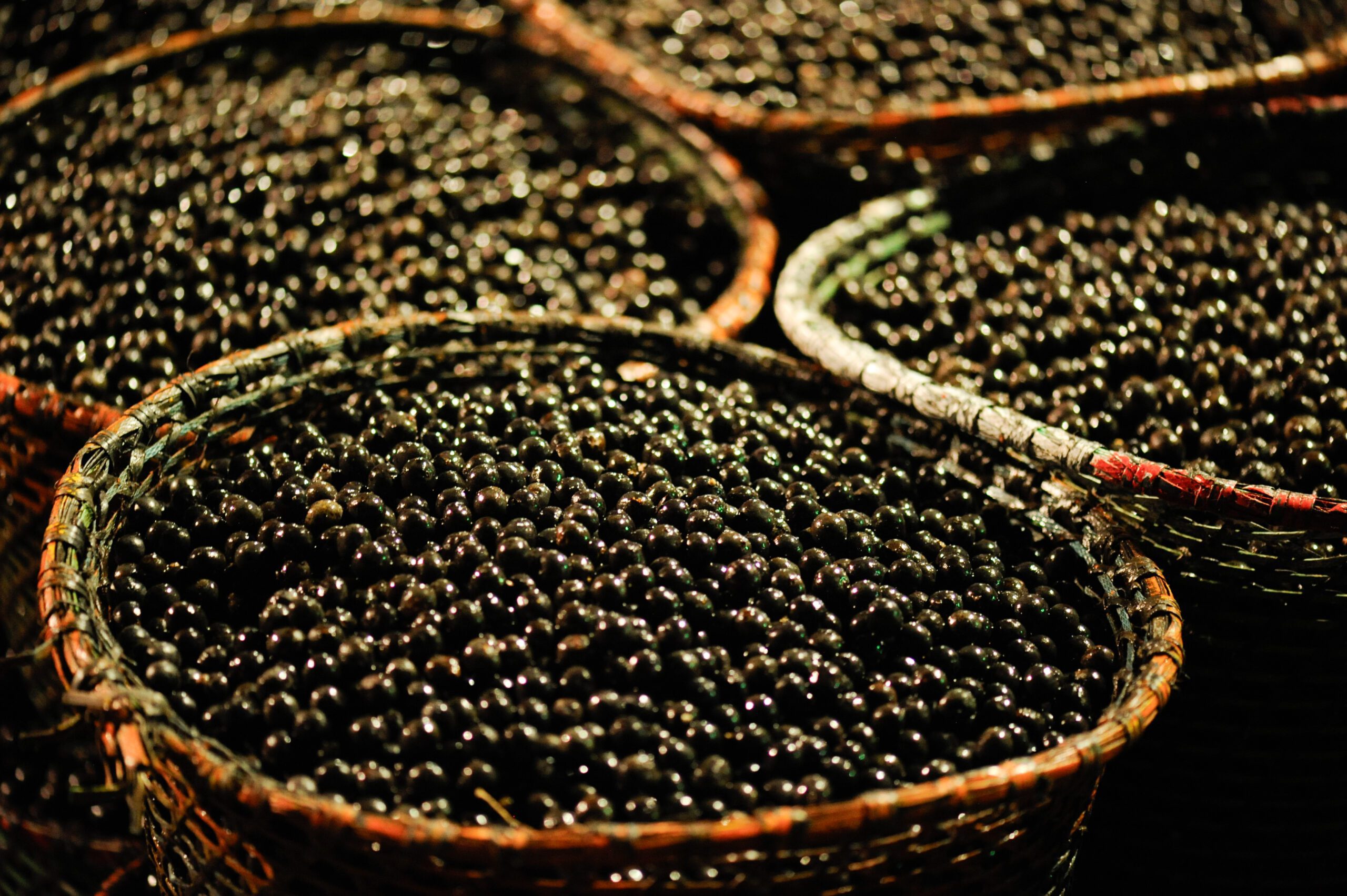 Read more about the article Açaí: Muito mais que um superalimento
