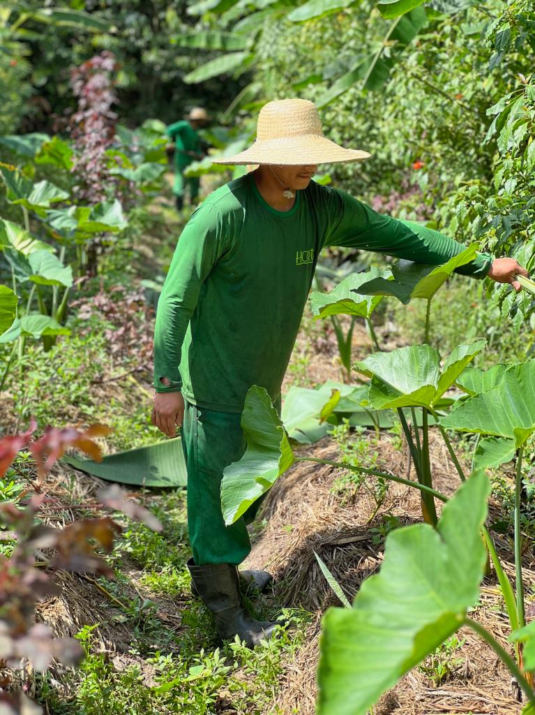 Read more about the article Redesigning the Future of Food: Brazilian Startups Innovate with Circular Economy and Biodiversity