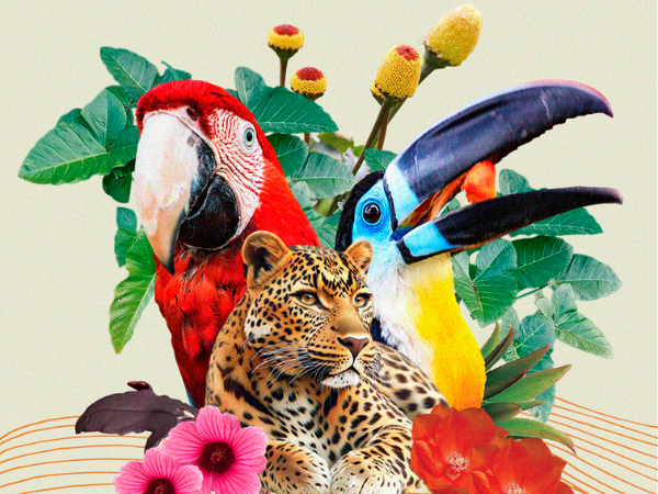 Read more about the article A Crise Global da Biodiversidade: Como Ela Impacta Nossa Vida e o Futuro da Alimentação